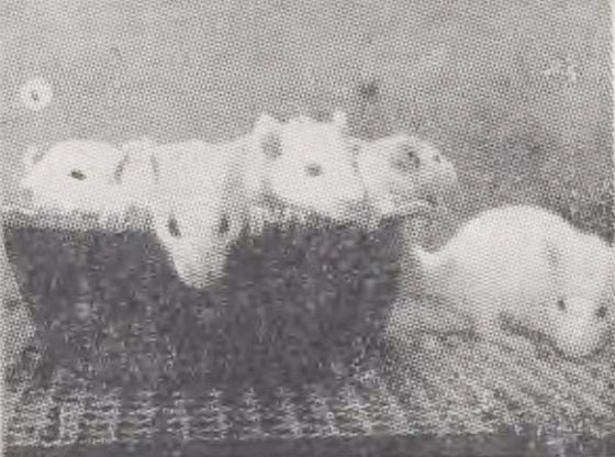 1789978390938490.png 生物研究所3.png